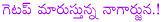 nagarjuna latest movie damarukam,nagarjuna in rajanna,nagarjuna next movie shirdi sai,shirdi sai director k.raghavendra rao,shirdi sai will stsrt in january,shirdi sai release in 2012,telugu movie shirdi sai